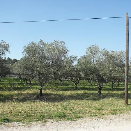 Domaine De La Marseillaise